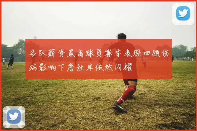 各队薪资最高球员赛季表现回顾伤病影响下詹杜库依然闪耀